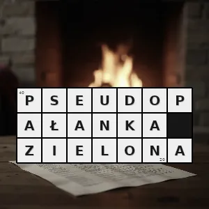 Rozwiązanie krzyżówki: pseudochirops archeri gatunek torbacza z rodziny pseudopałankowatych zamieszkuje północno wschodnie queensland pomiędzy cairns i townsville zasiedlając lasy górskie położone powyżej 250 m npm - pseudopałanka zielona | hasła, synonimy i podpowiedzi Hasło krzyżówkowe pseudochirops archeri gatunek torbacza z rodziny pseudopałankowatych zamieszkuje północno wschodnie queensland pomiędzy cairns i townsville zasiedlając lasy górskie położone powyżej 250 m npm - pseudopałanka zielona – rozwiązanie, synonimy, podpowiedzi i definicje krzyżówkowe